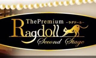 Premium Ragdoll